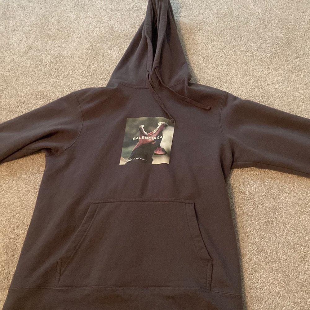 Balenciaga inspired hoodie